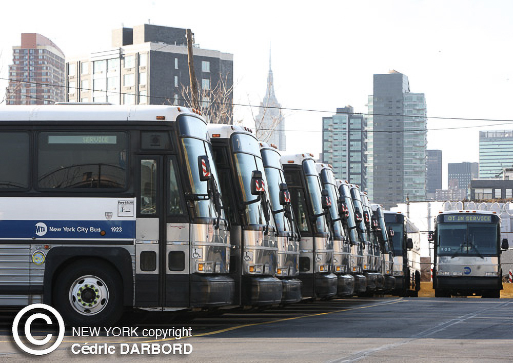 DARBORD-NYC-Buses-2-2