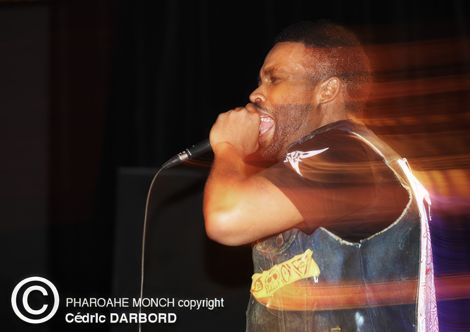 Pharoahe Monch en concert au Ninkasi Kao de Lyon en 2011