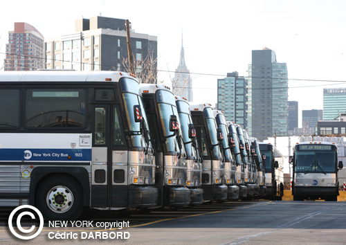 DARBORD-NYC-Buses