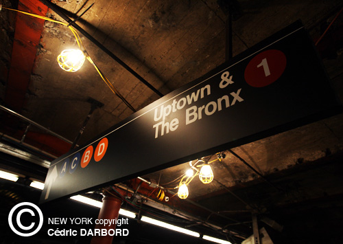 DARBORD-NYC-Uptown Bronx